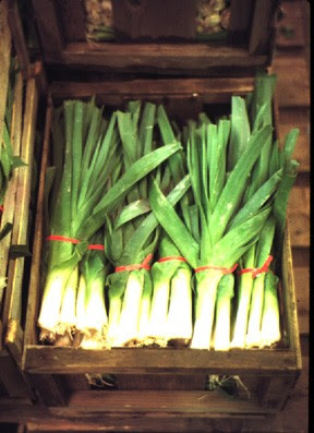 Fresh leeks